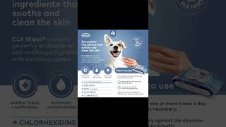 Wipes | Dog Wipes Antibacterial#shortvideo