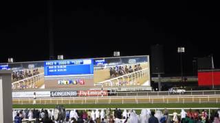 Dubai World Cup 2016 (California Chrome) race from the Premium area