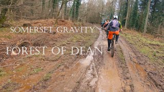 FOREST OF DEAN - SOMERSET GRAVITY