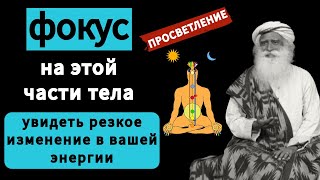 Садхгуру по-русски | сосредоточьтесь на этой части тела | Трансформируйте свою энергию | Позвоночник