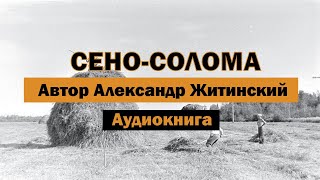 Сено-солома Александр Житинский Аудиокнига