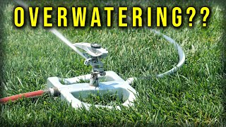 Are You Watering Your Lawn Properly?? // Cool Season Summer Lawn Tips