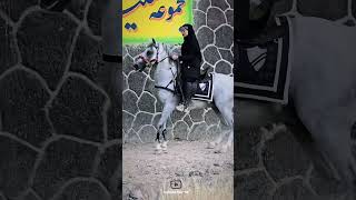 Attractive girl riding a horse😎|اسب سواری دختر جذاب😎#animals #horse #girl #cavalo #اسب #دختر #حصان