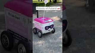 Robots in Poland #shorts #poland #robot #travel #robotics #robots #amazing #mybloopers