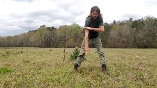 How to Manage Weeds - Pasture Management - Pink / Purple Thistle