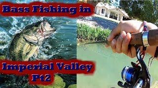 Bass Fishing in Imperial Valley Pt 2