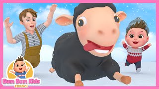 Baa Baa Oveja Negra, Cinco Patitos + Más Canciones Infantiles | Bum Bum Kids en Español