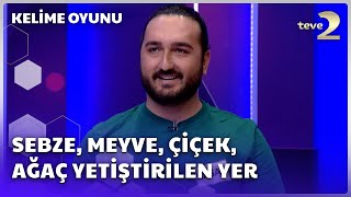 Sebze, Meyve, Çiçek, Ağaç Yetiştirilen Yer | Kelime Oyunu