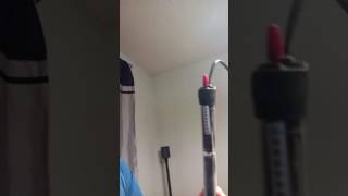 Zacro 300 Watt submersible aquarium heater review