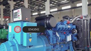 Detailed display of diesel generator set