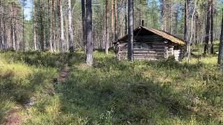 По озерам Мурманской области. Медведь на острове Петро. Гора Иванова. часть 4