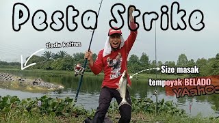 SPOT IKAN PATIN LIAR| Tak berenti Strike #bermacam jenis ikan kat Spot ni