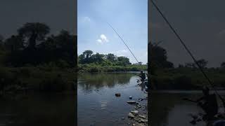 strike  nila  babon sungai bedadong jember dung Basir part 1 #shorts