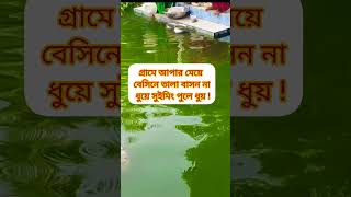 আপার মেয়ে বেসিনে তালা বাসন না ধুইয়ে সুইমিং পুলে ধুয়! #share  #youtubeshorts #shorts #short