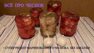 РАК ВИРУСЫ (covid 19) В НОКАУТЕ ВКУСН МАРИНОВАННЫЙ ЧЕСНОК РЕЦЕПТ ПП ПОЛЬЗА ВРЕД СОСТАВ GARLIC RECIPE