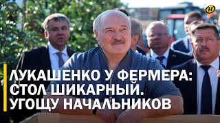 Лукашенко: ЕСЛИ? Поснимаю головы, если не заполните. И НЕ КАРТОШКОЙ!/ В саду у яблочного айтишника