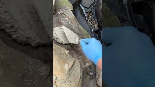 Cementing some rocks in a pond #waterfall #cement #satisfying #relaxing #gardenpond #construction