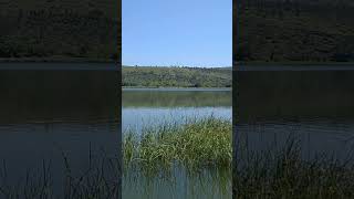 Beautiful Lake#nature #beautiful #beauty #shortsvideo #shortvideo #subscribe #travel #shorts #short