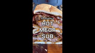 Hot Mega Sub