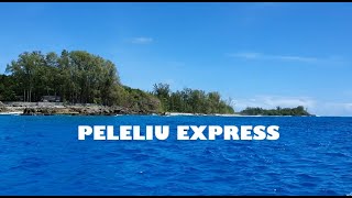 팔라우 다이빙 '펠렐리우 익스프레스' peleliu express diving