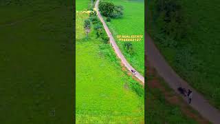 3.10 ACRE LAND FOR SALE #lowbudget |முதலீட்டிற்க்கு ஏற்ற 3.10 ஏக்கர் நிலம் விற்பனைக்கு #palani