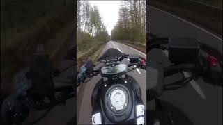 Yamaha MT07 - Akropovic/Quickshifter Pure Sound (in the wet)