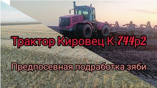 Трактор Кировец К-744р2 подработка зяби перед посевом (2023)