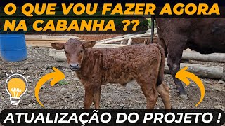 O que vou fazer agora na Cabanha ?? Atualização do projeto !!