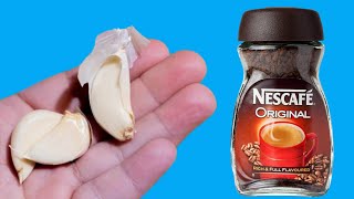 Garlic And Nescafe Recipe By Noorani Food | Onion with Nescafe Recipe | Simple Recipe