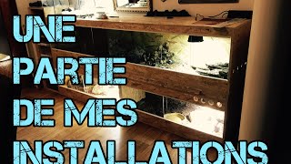 reptile room tour : une partie de mes installations