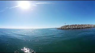 360 Degree Video Sealions sunning themselves on the stones!