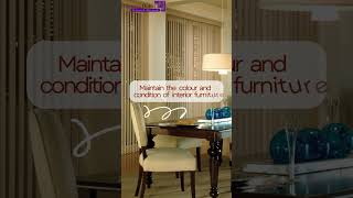 Create a Luxurious Look  with Vertical Blinds #shorts #shortsvideo #viral #like #trending #short