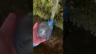 Fill in some Spring Water #Shorts #shortsfeed #viral #youtubeshorts #fe #nature #viralshorts #Short