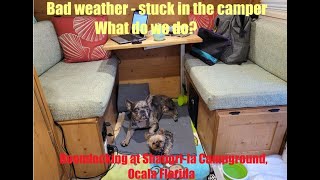 Boondocking at Shangri-La Campground, Ocala Florida (Solo Female Tiny Camper Small Travel Trailer)