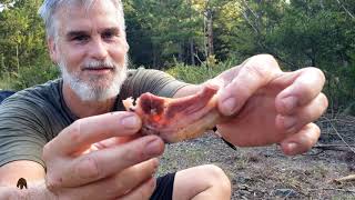 Breakfast at camp with coffee, country ham, and muffins