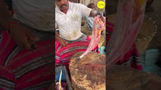 KASIMEDU SIRUTHAI DURAI FISH CUTTING VIDEO / cutting focus #bigfishcutting #bigfish #youtube