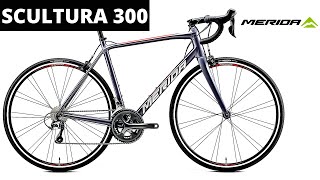 Merida Scultura 300 2020 Build