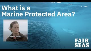 What are Marine Protected Areas?