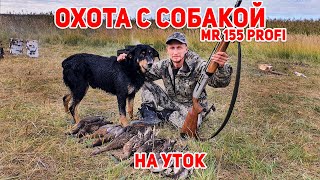 Открытие сезона охоты на уток 2021 с собакой и МР 155 Профи | Охота на перелете