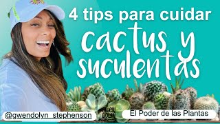 ☘Claves para cuidar cactus y suculentas en casa ✅Garantizado✅