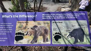 Let’s See All Of The Animals | Tour of Saint Louis Zoo in Missouri