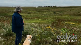 Boulder Farm Study