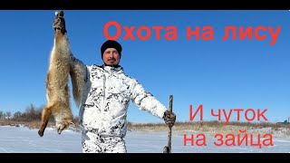 Охота на лису и зайца.