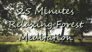 25 Minute Meditation Timer [Relaxing Nature Sounds] (4K UHD)