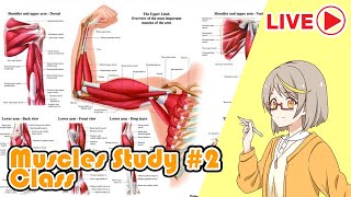 🔴Talk&Muscle Study Class with Lily #2(24022021) (TH/EN is ok!!)