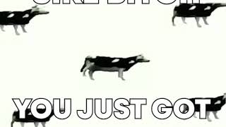 Rick rolled except its Polish Cow