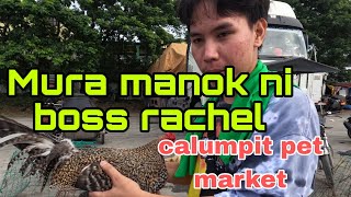 mura manok ni boss rachel calumpit pet market