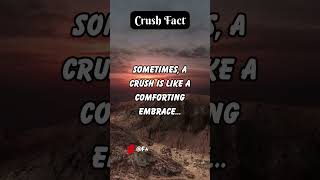 Comfort in a Crush: Embracing Solace and Belonging 💖🤗 #ComfortingCrush #EmbracingSolace