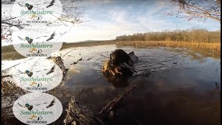 Alabama Waterfowl Hunting - Jackson Co AL - Dec 29, 2016