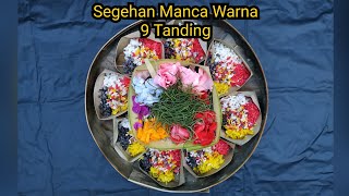 CARA MEMBUAT SEGEHAN MANCA WARNA 9 TANDING